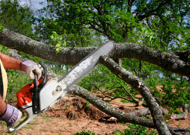 Best Mulching Services  in Earlham, IA